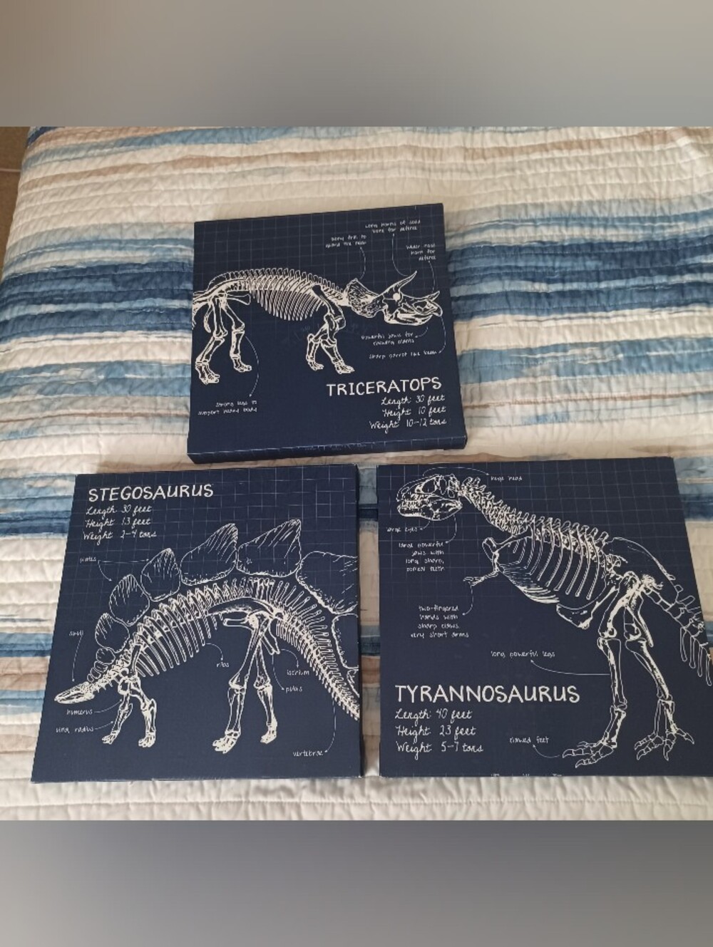 Dinosaur Canvas Wall Decor